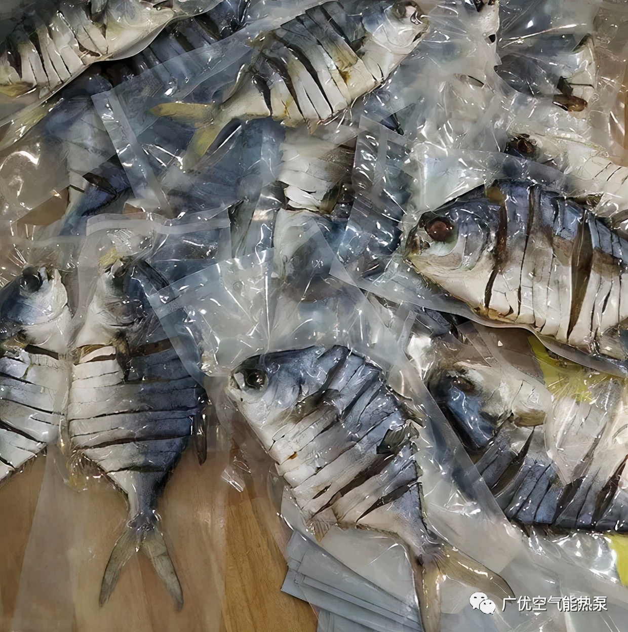 广优没有什么是“干”不了的-鱼干烘干工艺及解决方案