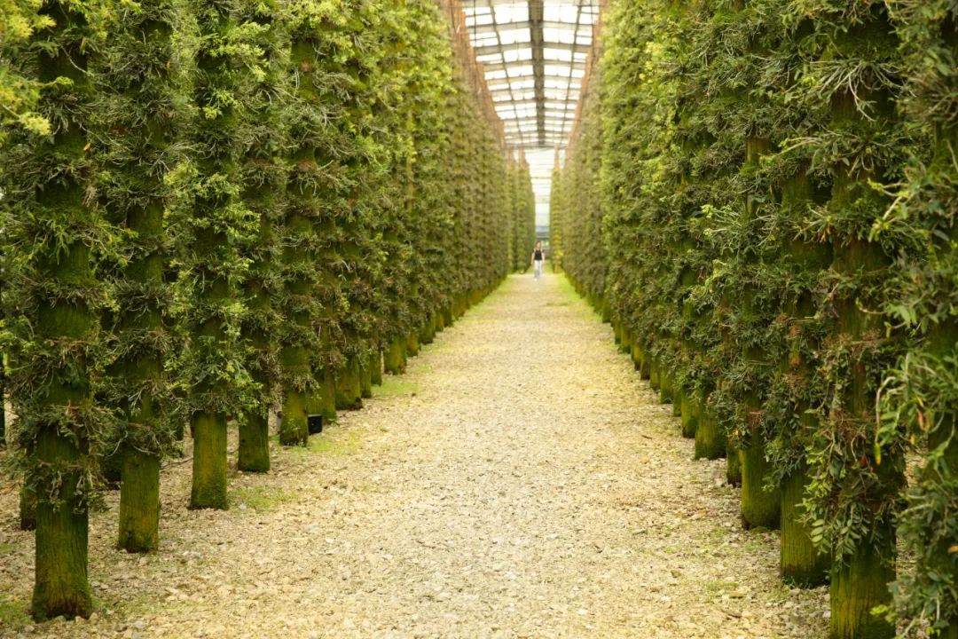 在温过大年！这几条“百县千碗”美食体验线路真的好吃又好玩