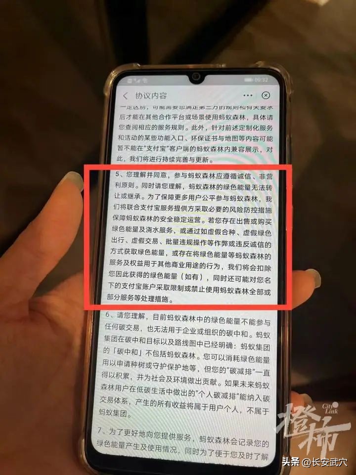 男子蚂蚁森林种树太上头被封号！4个小号养一个主号，反复缴纳水电费并退费套取“绿色能量”……