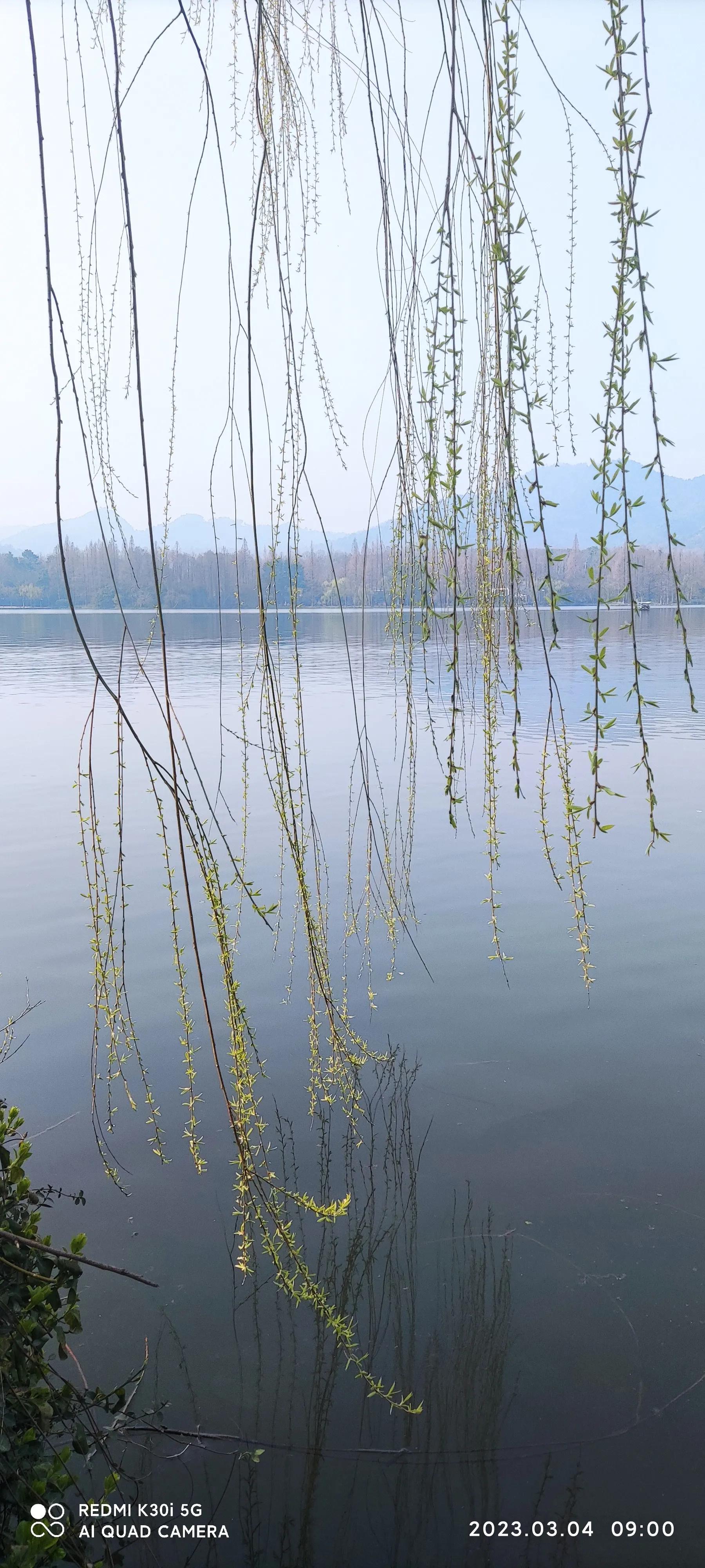 曲院风荷和苏堤断桥的位置,走遍西湖旅游攻略