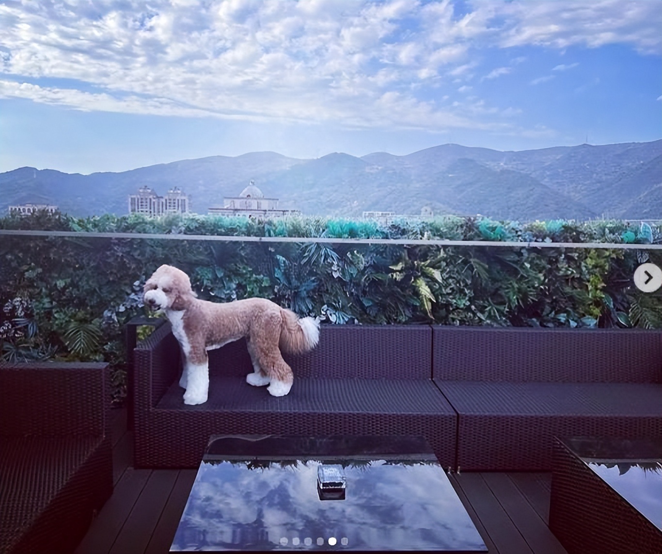 罗志祥晒绝密珍藏玩具：数百双鞋价值几百万，一张地毯价值不菲