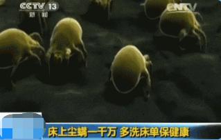 床垫3年没用会有螨虫吗,家里床垫不好用怎么修