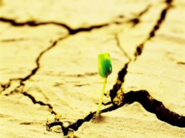 宝马撞人案罪犯执行死刑,宝马撞人致死二审被告被判死刑