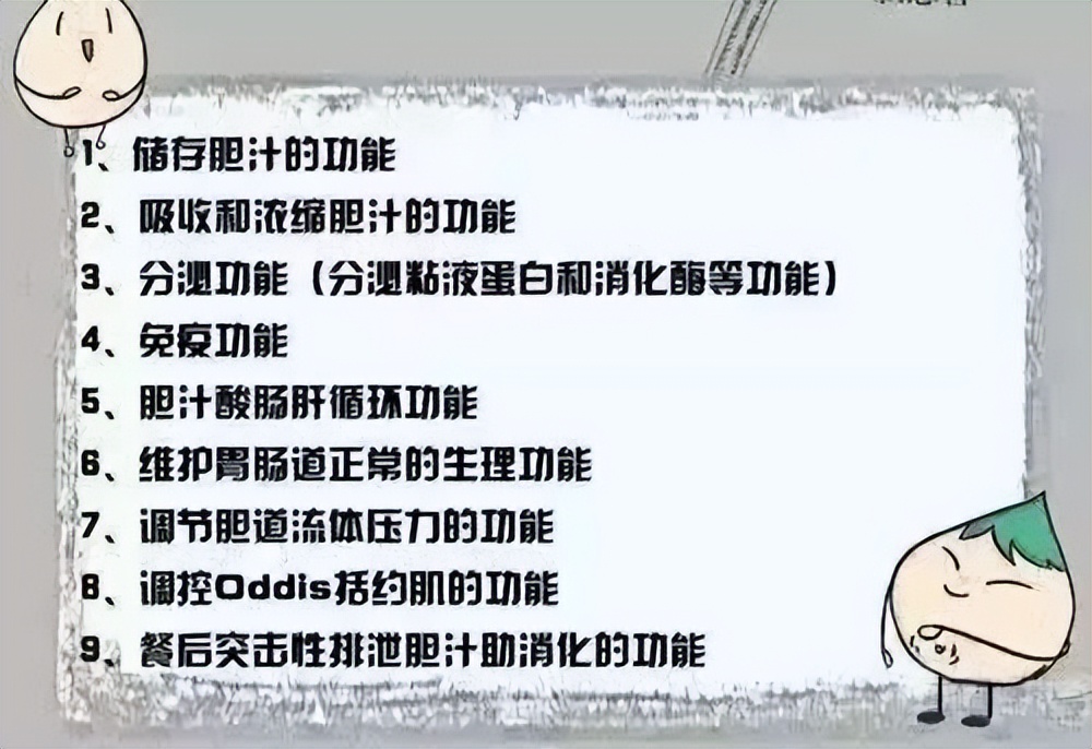 为什么胆有结石必须摘了,胆结石医生为什么都建议割胆