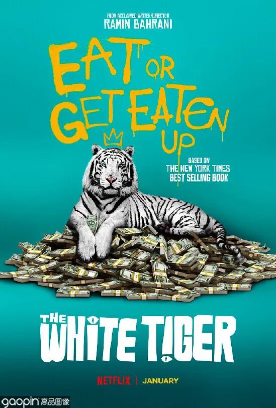 这6部印度电影虽冷门但值得一看,五部值得一看的高分印度电影推荐