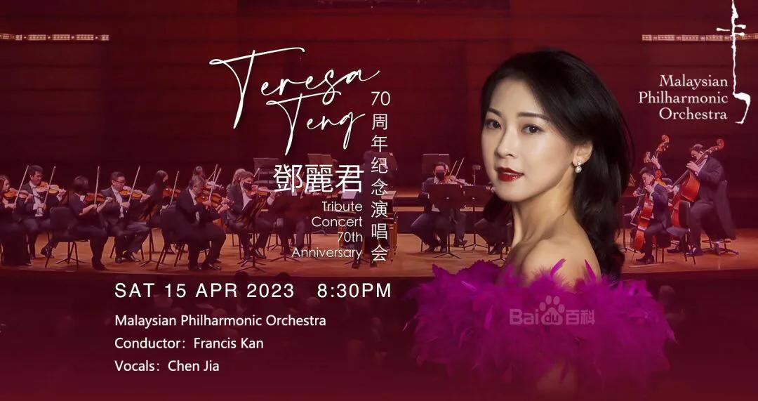 陈佳邓丽君歌曲最佳传承人,邓丽君歌曲传承者陈佳的简介