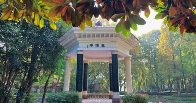 宁波大学和普通211哪个好,宁波大学比某些211好吗