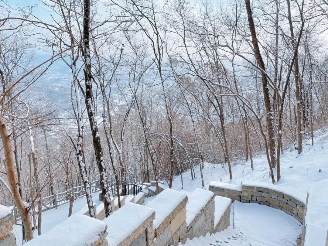 雪落成白墨影成殇,零落成妆