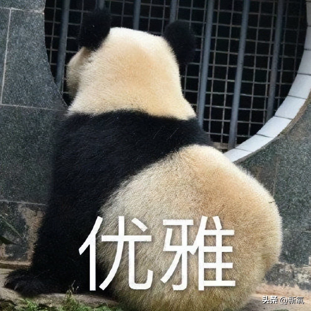 爬楼梯和跑步机哪个效果好,爬楼梯和跑步哪个好