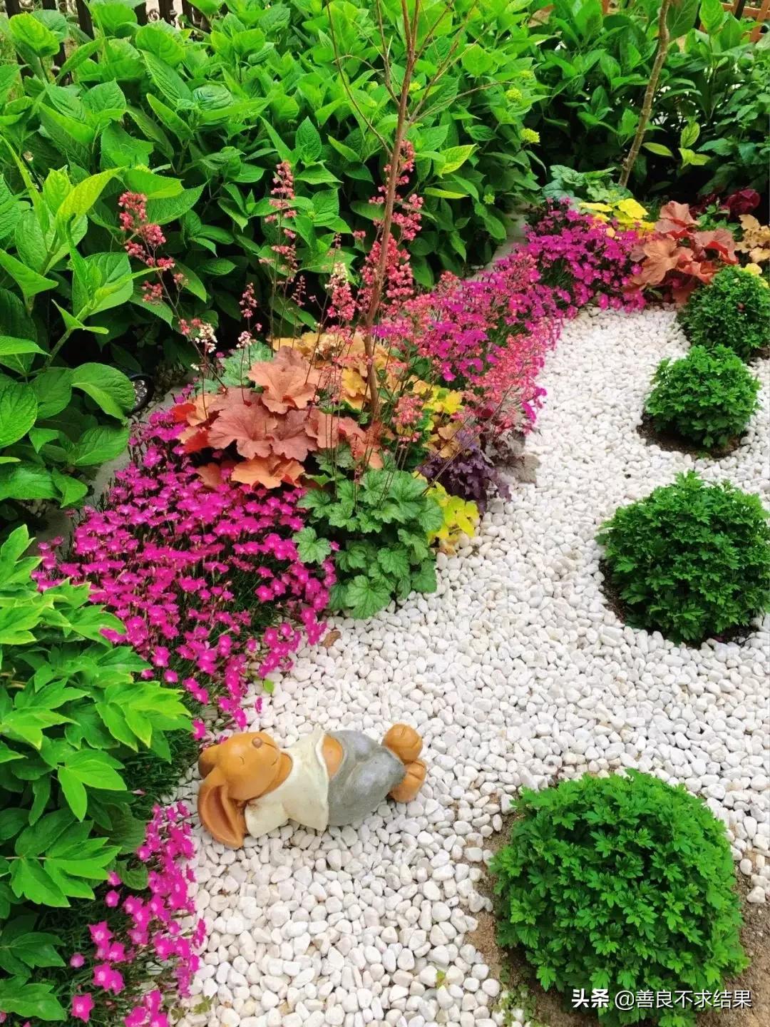 好看的地被植物,超实用的地被植物干货值得收藏