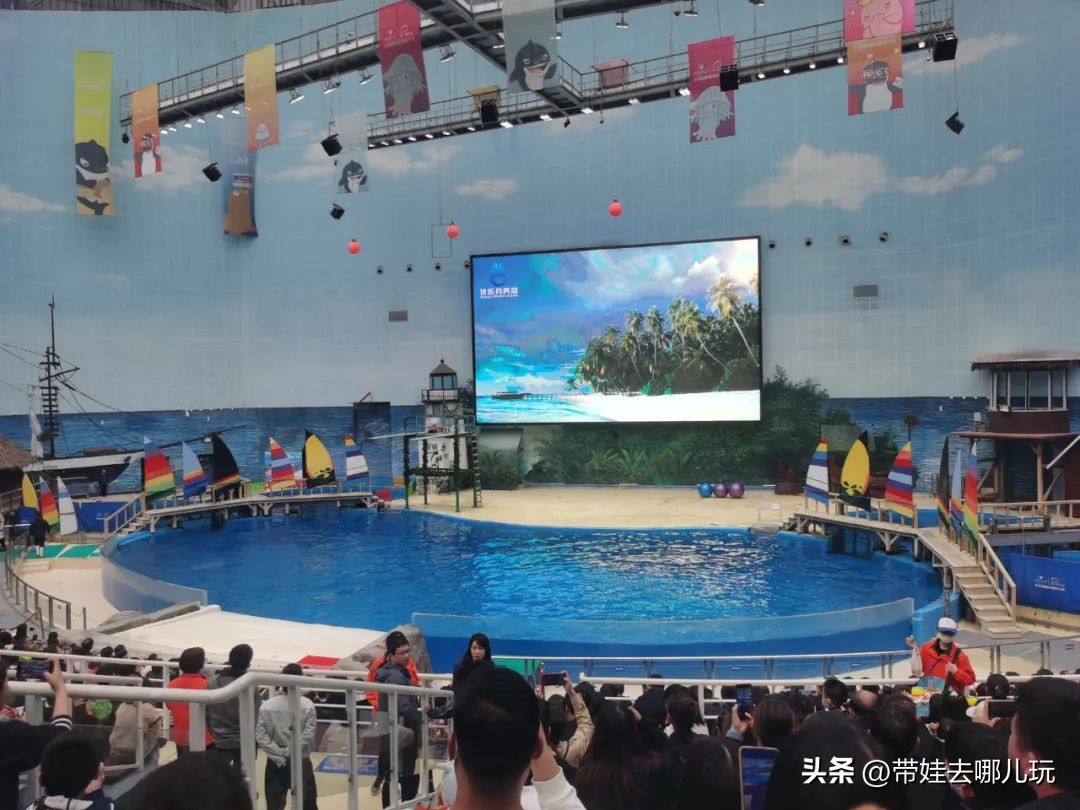 天津海昌极地海洋公园冬天营业吗,天津海昌极地海洋公园游玩攻略