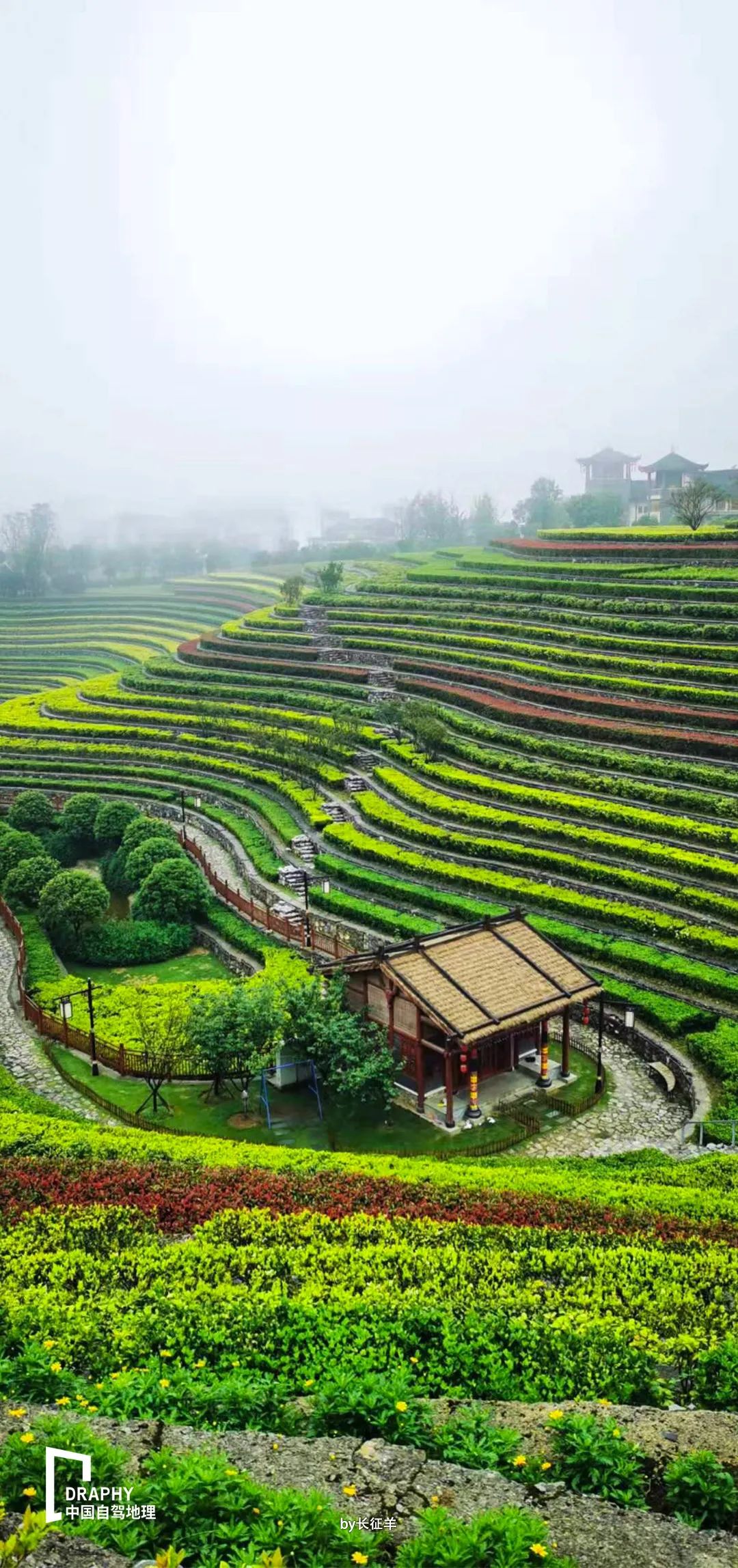 这里的秋色真美,这里的秋色绝美