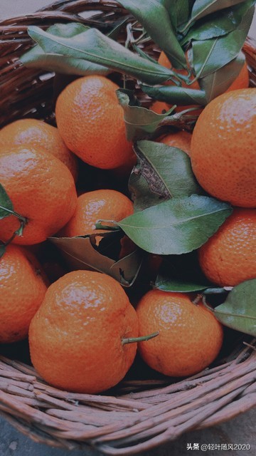 姥姥家那些颠覆三观的事儿,姥姥家那些颠覆三观的事儿结局