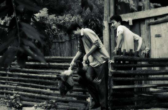 中国知青轶事,知青轶事之四