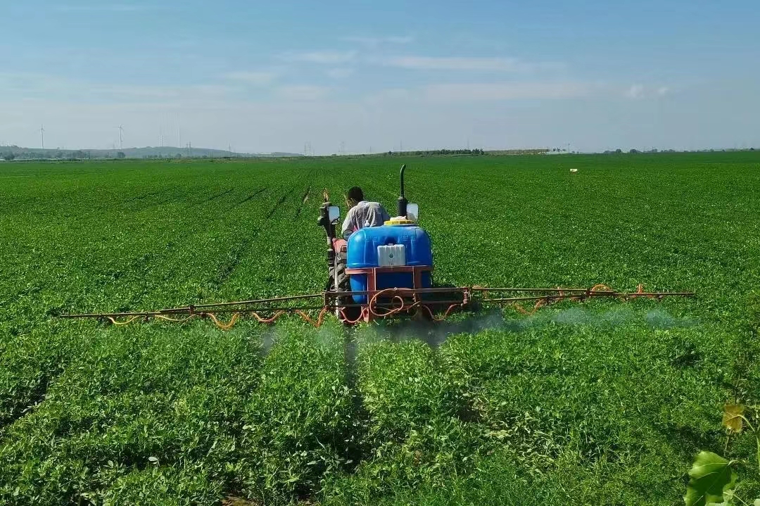 义县最新引资消息,义县招商