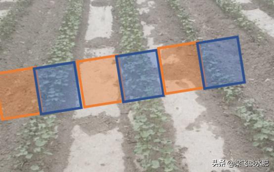 干播湿出的要求,干播湿出后要中耕几次