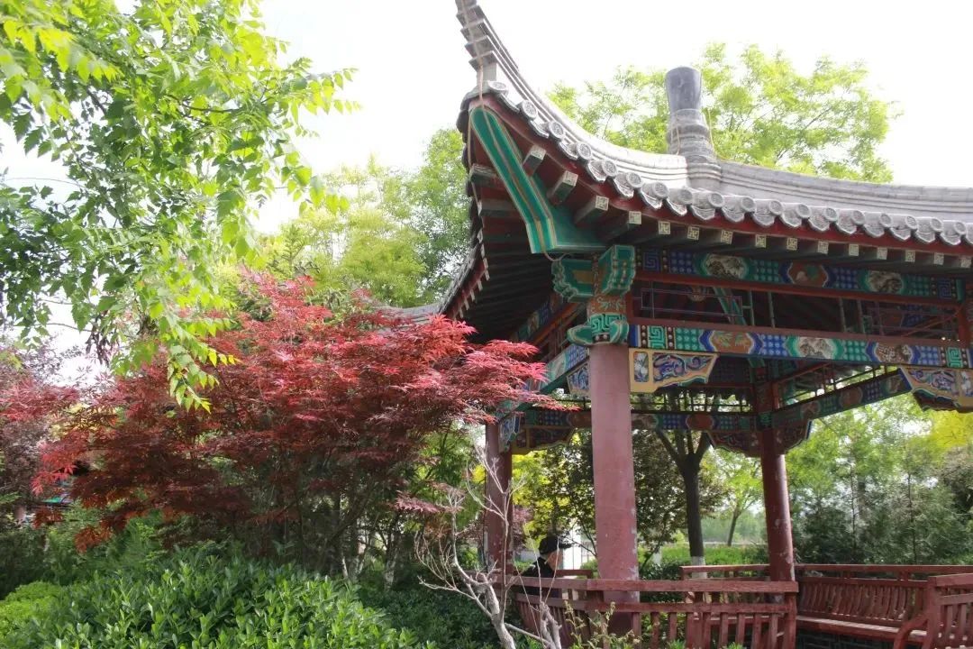 今年这个夏天去哪里避暑,夏天去北京好玩儿吗