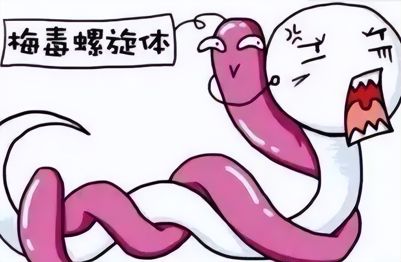 了解梅毒,了解一下梅毒病的形成与治疗