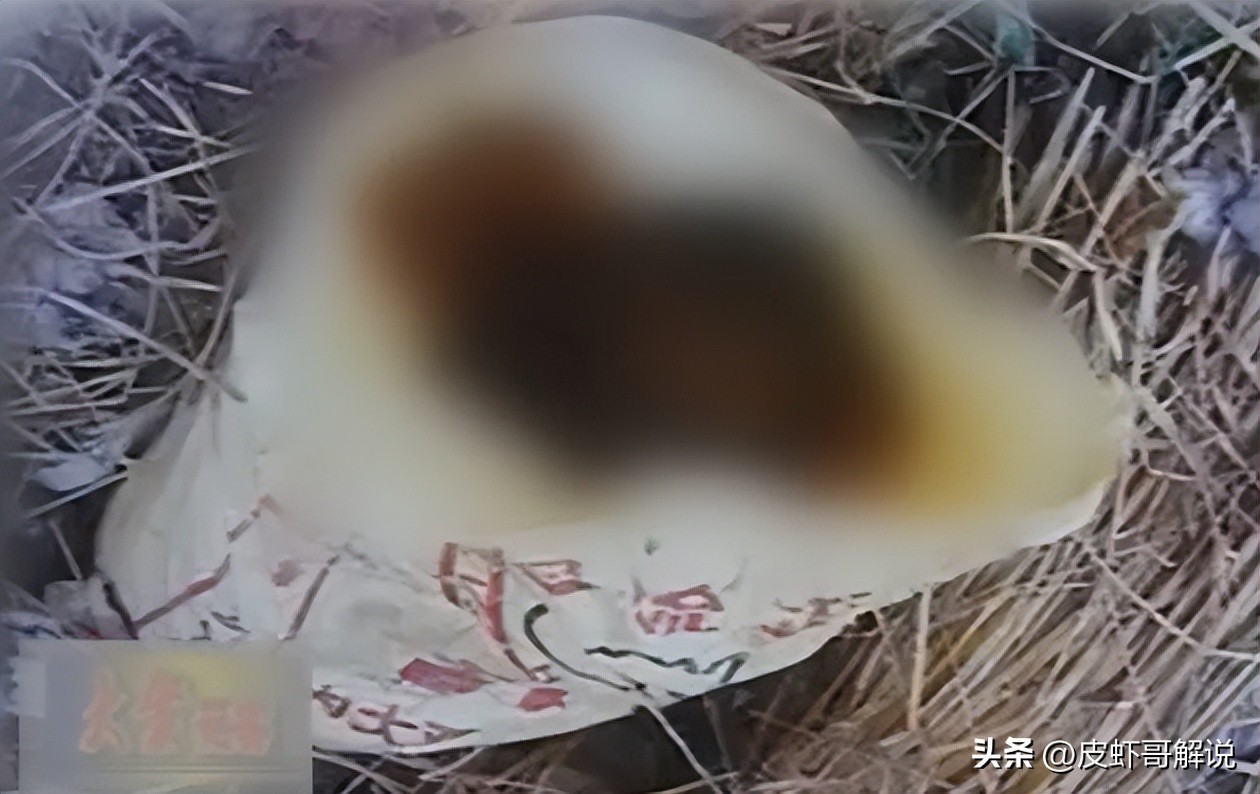 花季少女被埋尸,花季少女死后被埋家中