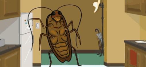 家里有蟑螂怎么办小技巧,家里有蟑螂怎么处理有最有效方法