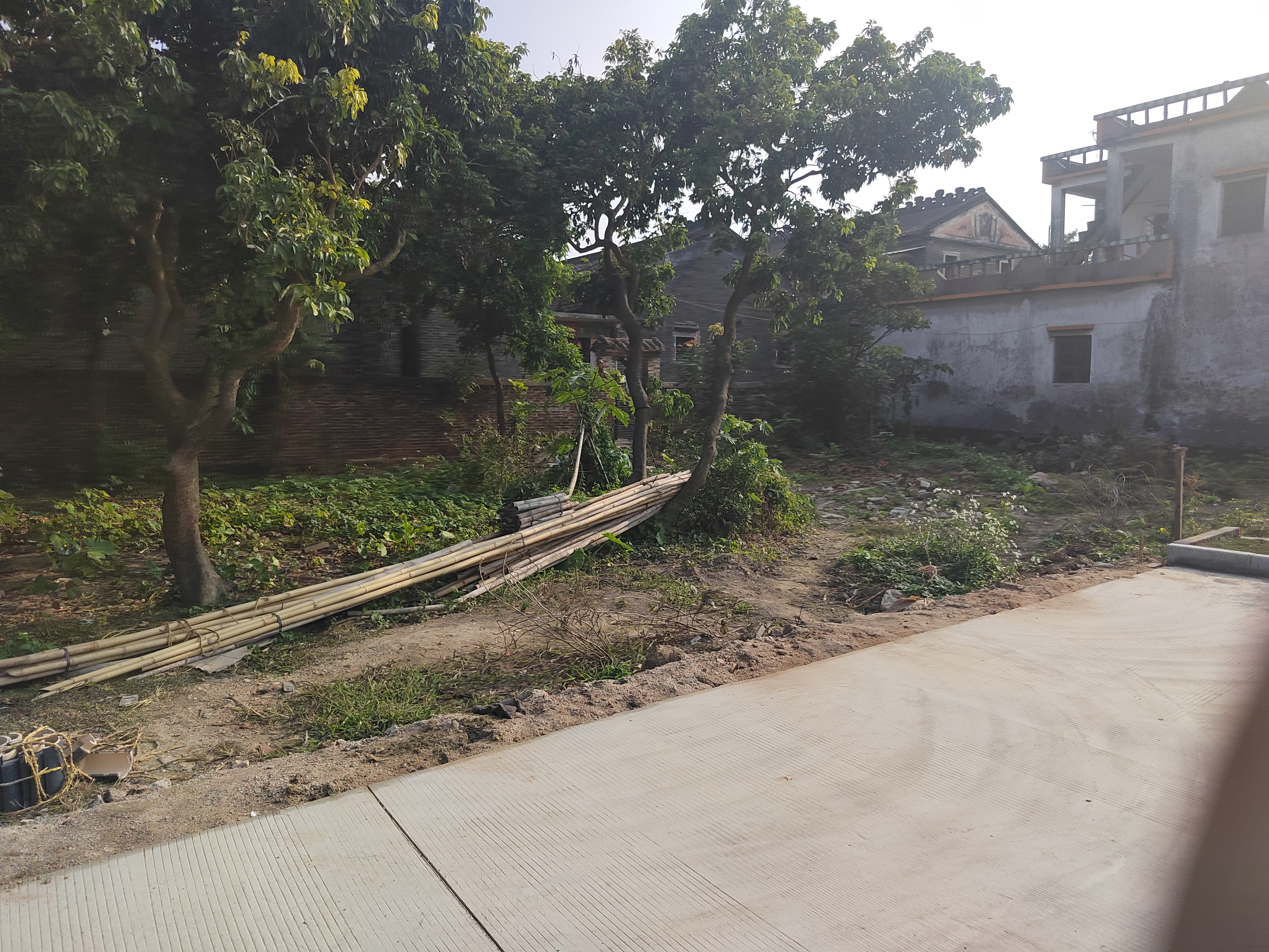 江门新会旅游景点小鸟的天堂,新会小鸟天堂历史记录