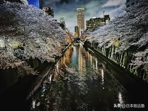 日本樱花季赏樱攻略,2020年日本樱花季赏樱攻略出炉