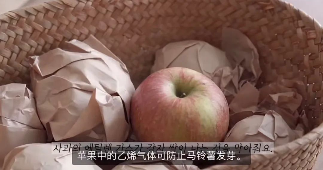 买一次蔬菜吃一个月,日本人如何备菜一周保存