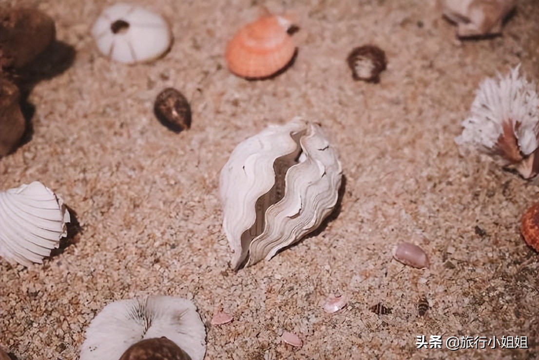 夏日海边浪漫迷人,滨城风光秀丽浪漫气息爆表