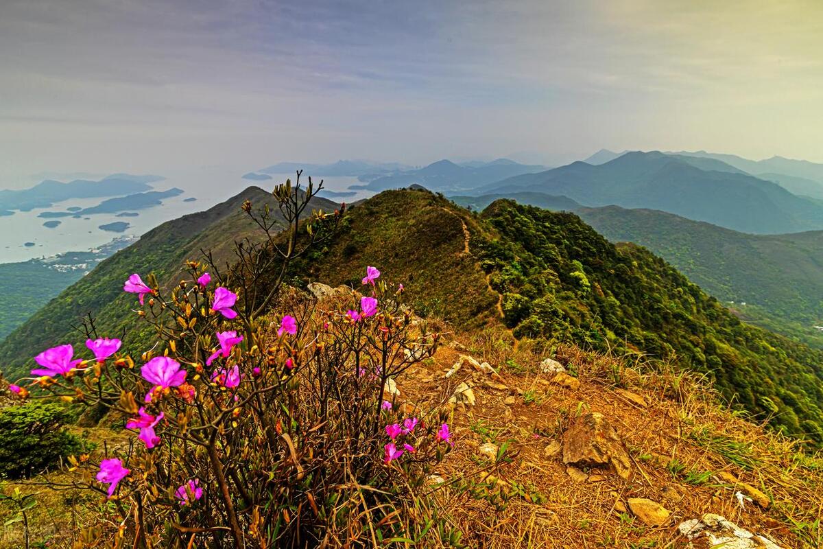 我爱的人，你是此生难忘，是我牵肠挂肚的念想