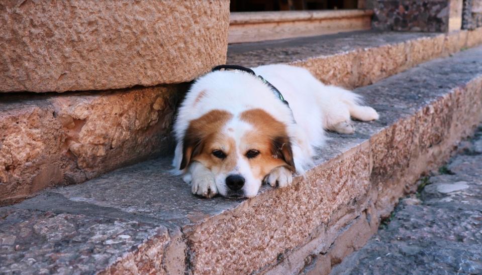 去云南丽江昆明旅游说说,丽江旅游攻略丽江有哪些古镇