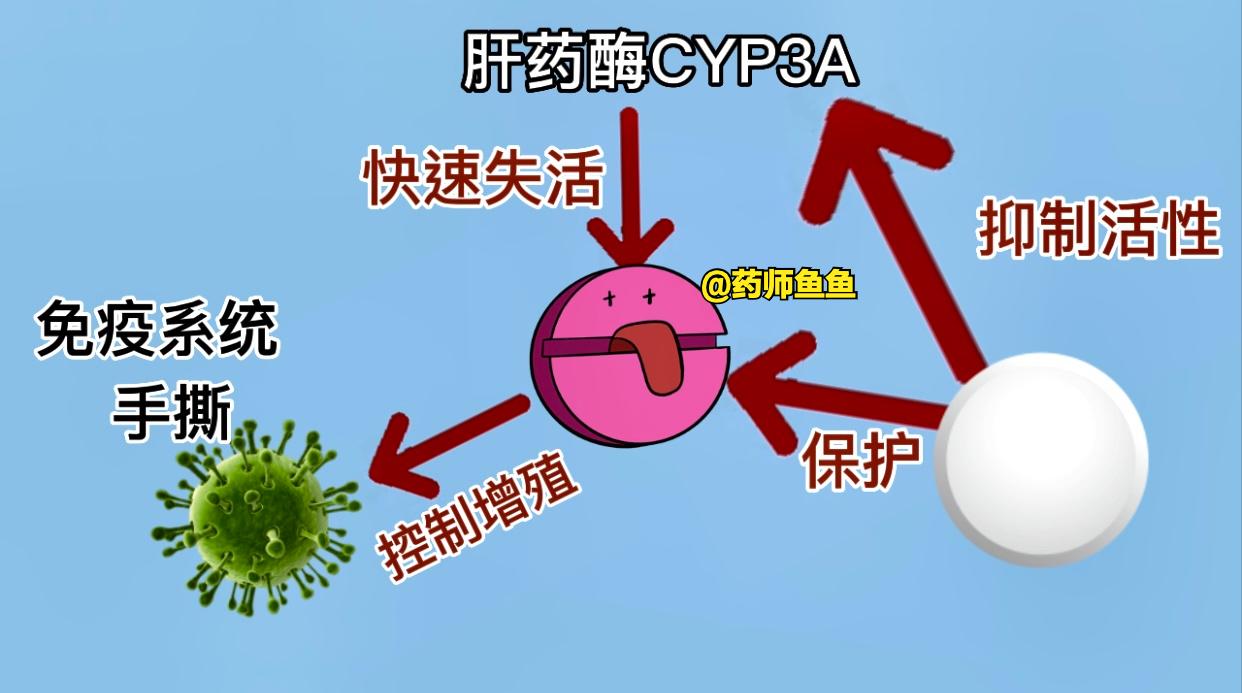 被捧上天的辉瑞特效药，定价1890，“神”在哪？
