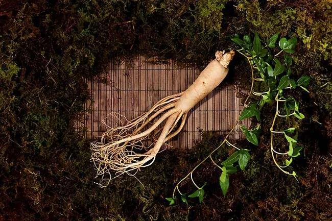 疫情期间喝什么提高免疫力最好,疫情期间好好养生增强免疫力