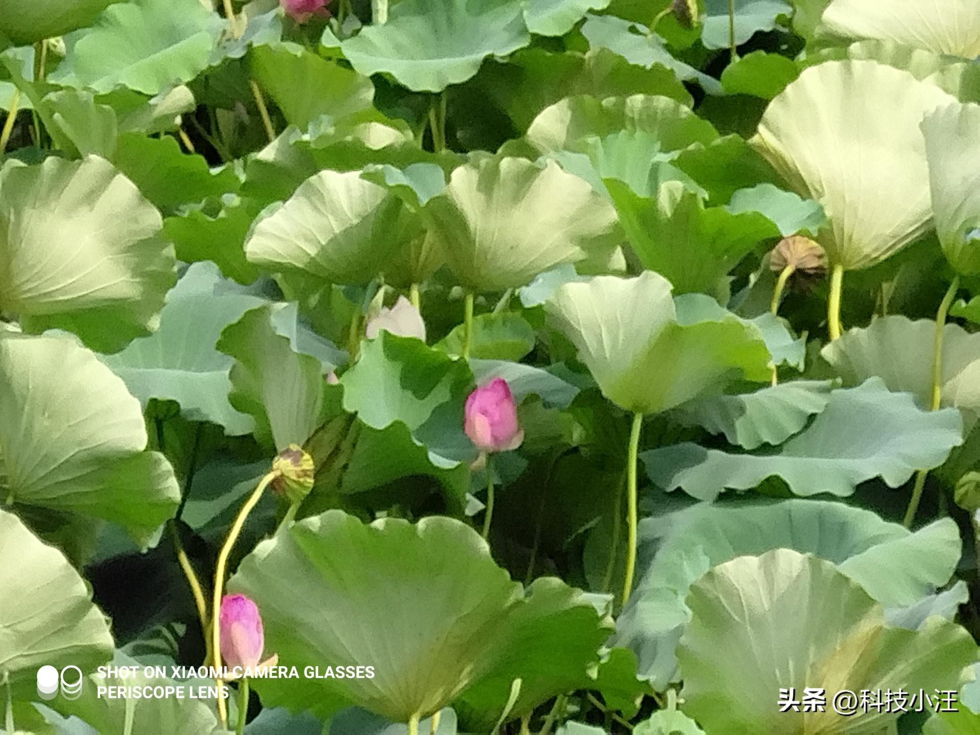 小米产品又获奖，第一视角拍摄利器，超酷的眼镜相机使用体验分享