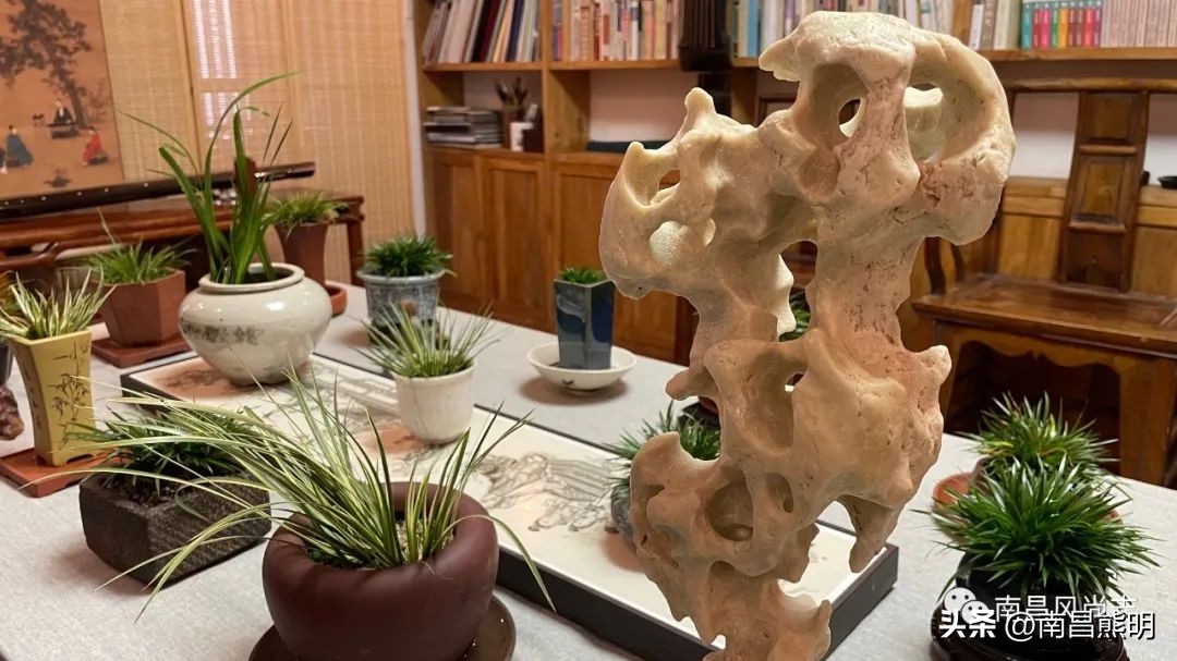 鍏竴鍎跨鑺傚叞鑺辫崏,鍏竴鍎跨鑺傜尓绗艰崏