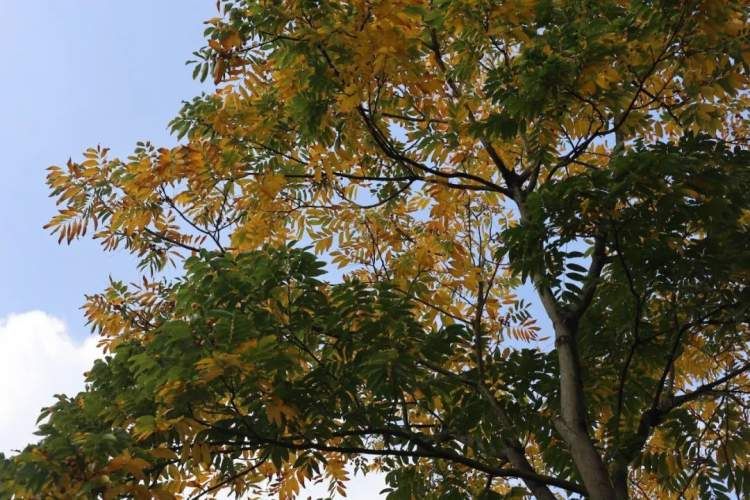 最值得打卡的动物园,国庆必打卡动物园推荐