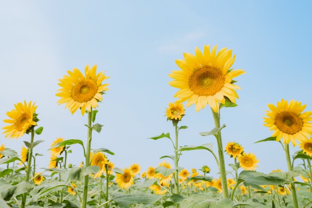发现妻子跟别的男生暧昧怎么办,发现老公和其他女人聊暧昧