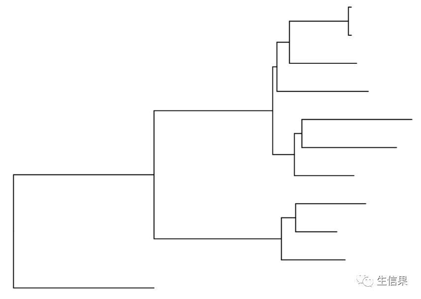 用r语言生成矩阵,使用r语言绘图