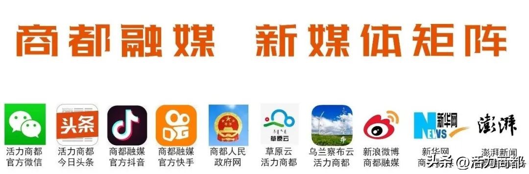 志愿者招募令完整版,志愿者招募令的密码错误怎么办