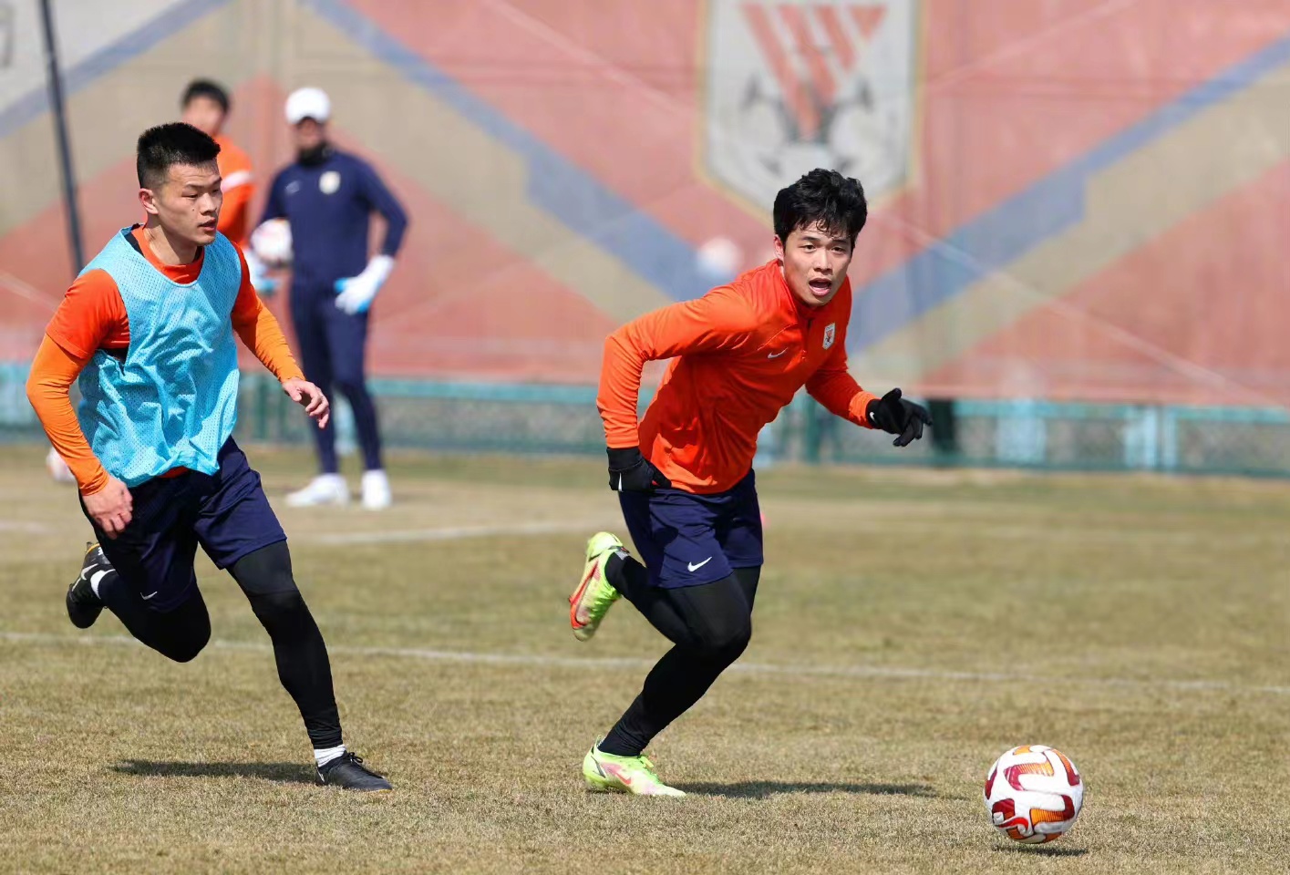 山东泰山今年球员大名单,山东鲁能泰山足球队最新名单