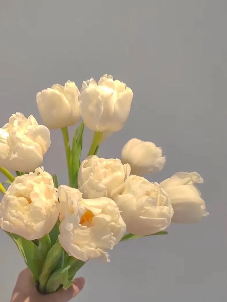 爱上一个大八岁的离异男人,爱上一个离异男人怎么办