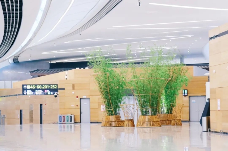 天府机场t2航站楼202登机口在哪儿,天府机场23-24号门