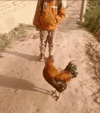 下雪天摔跤容易摔倒哪,下雪地上好滑大家注意安全