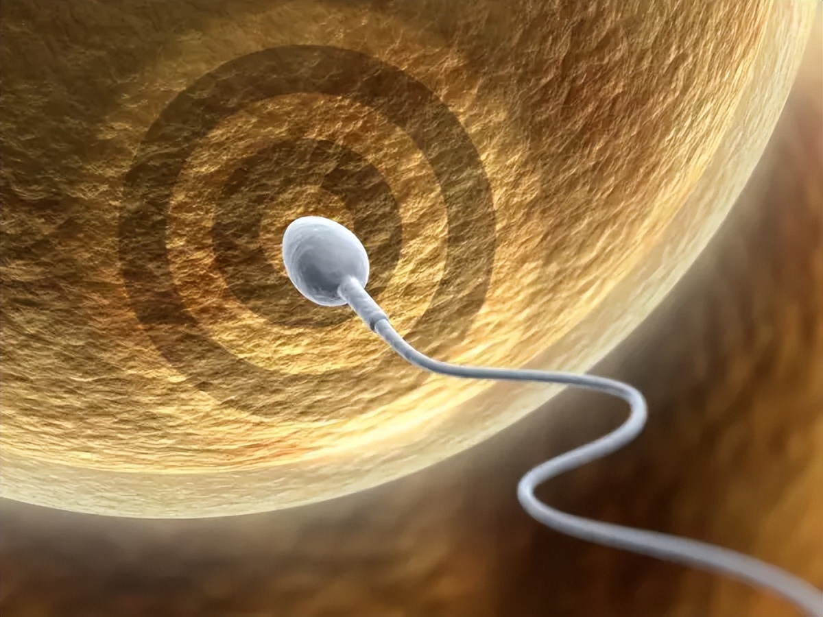 排卵试纸一直没双杠会不会怀孕,为什么排卵试纸三四天都双杠