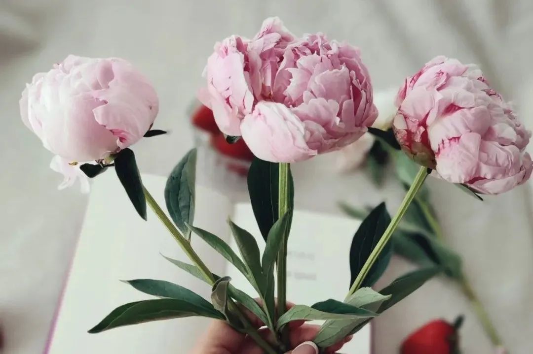 心情不好真的会显老视频,心情不好真的会显老怎么治疗