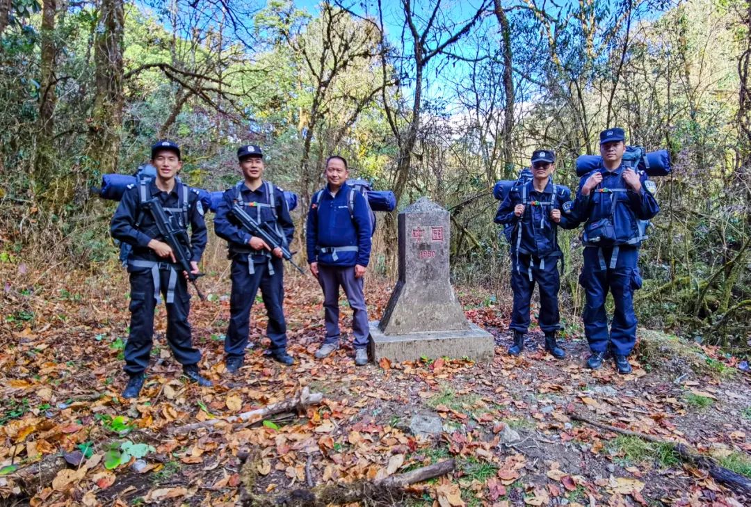 帧帧壁纸！穿越原始森林，探秘高黎贡山！