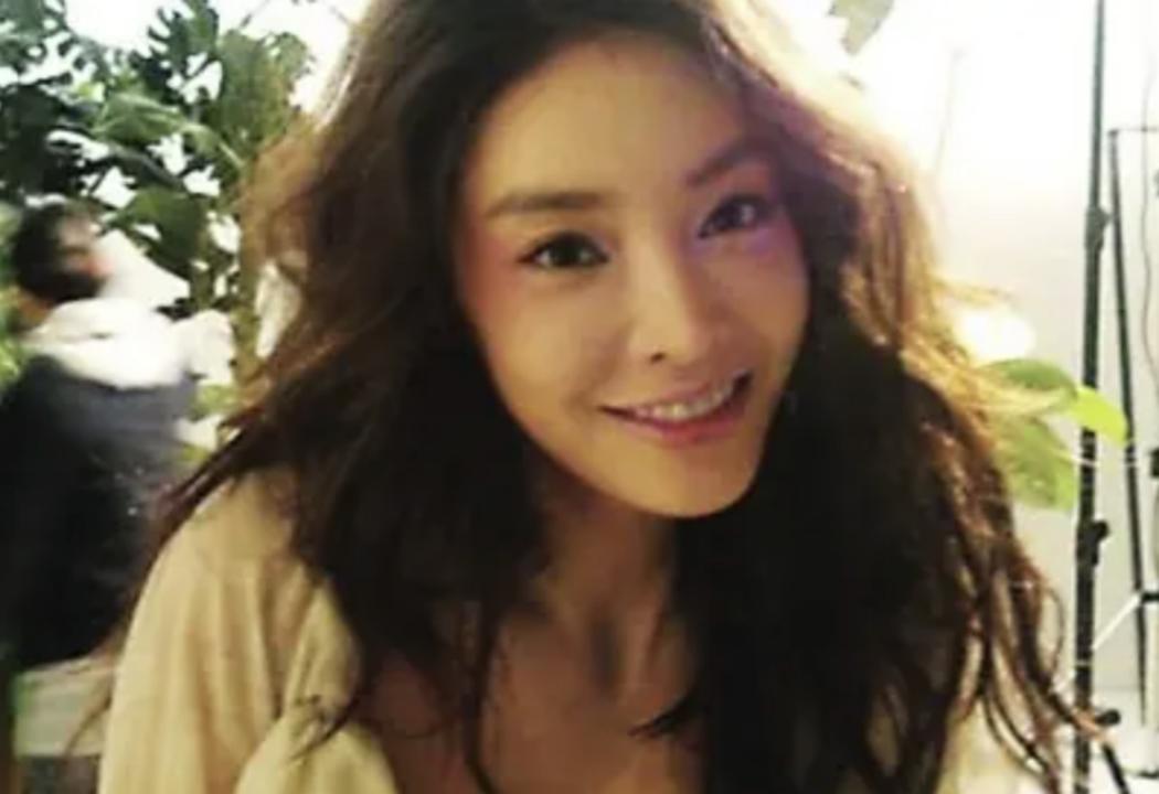 四大财阀垄断下的韩国,韩国被财阀控制的发达国家