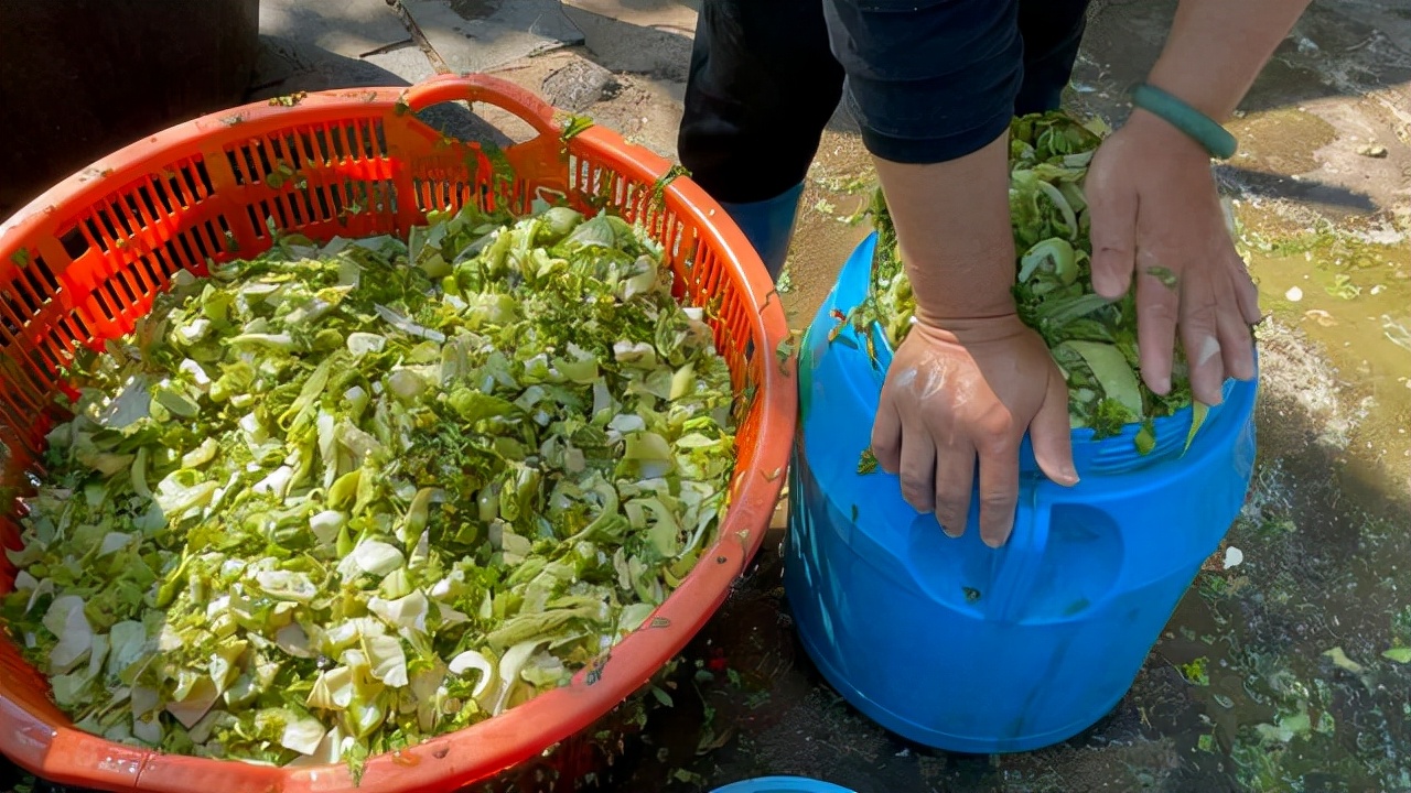 海南印象：女人太能干了，海边晒的大鱼*你干**认识吗？