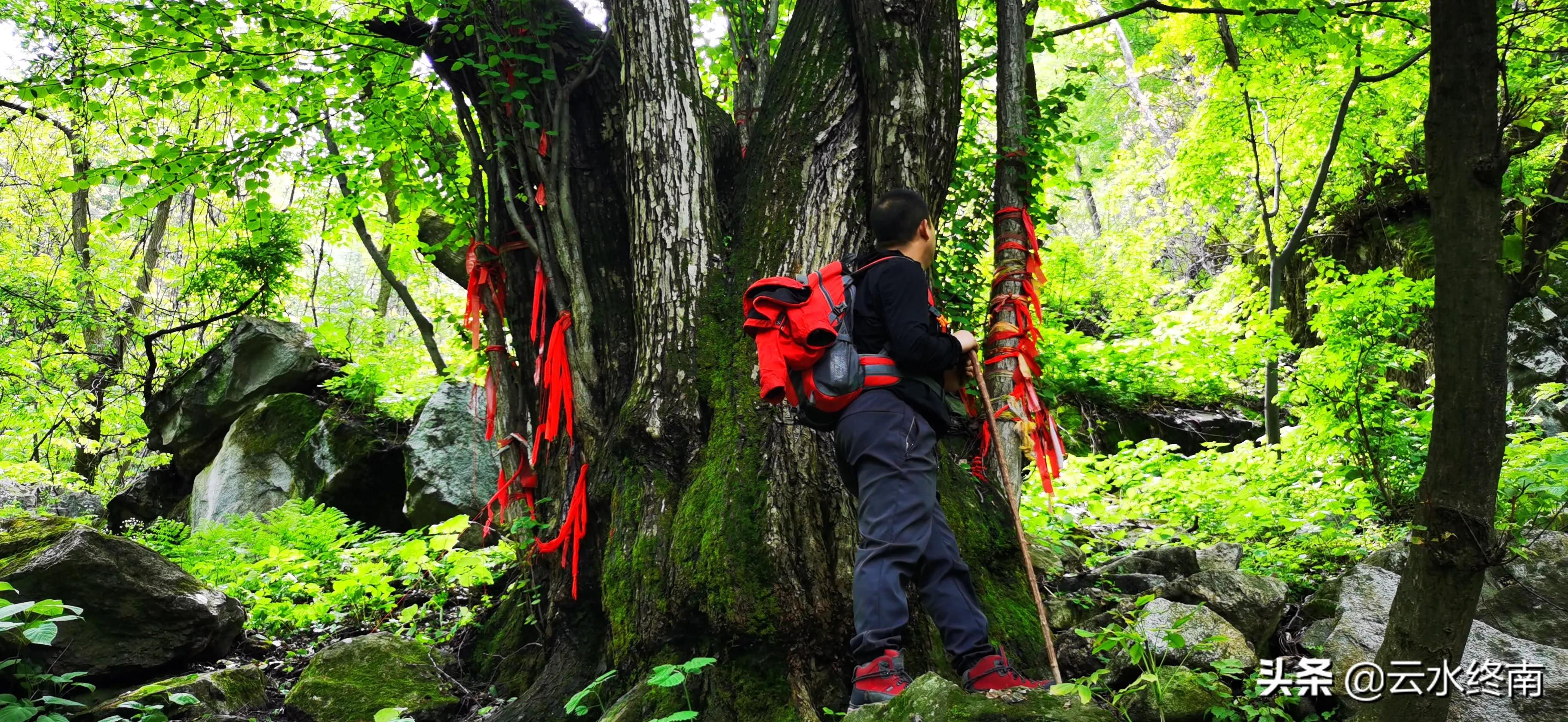 看值不值？登顶沣峪里这个曾经收费的景区，看九鼎万华详细攻略