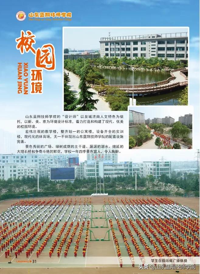 山东蓝翔技师学院入学条件,山东蓝翔技师学院招外省的吗