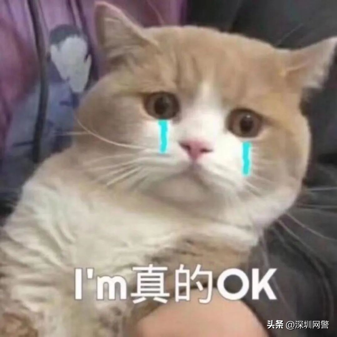 净网2019收到短信,净网2019新手教程